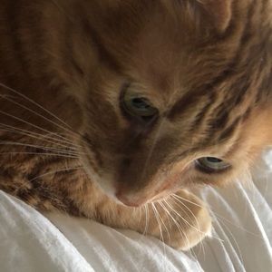 Meet your Posher, Lillian